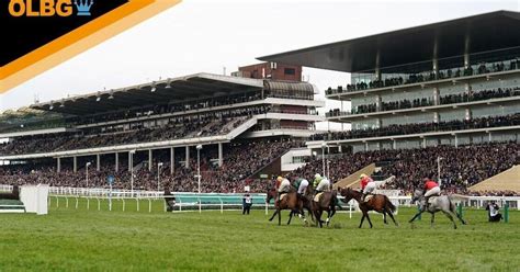 cheltenham festival betting offers|Cheltenham Betting .